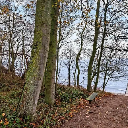 Sb50389-sydals-harresbaek-20